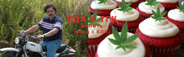 соль ск Новозыбков