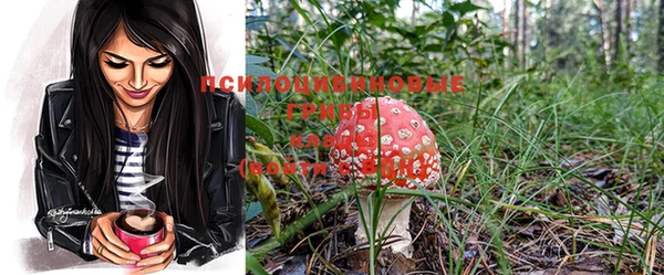 соль ск Новозыбков